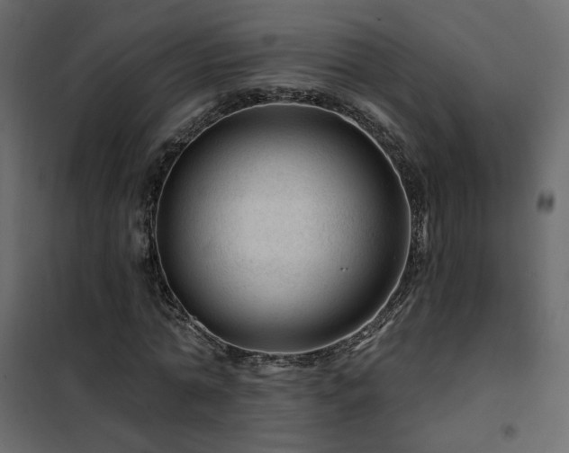 X0000102490774200808081328