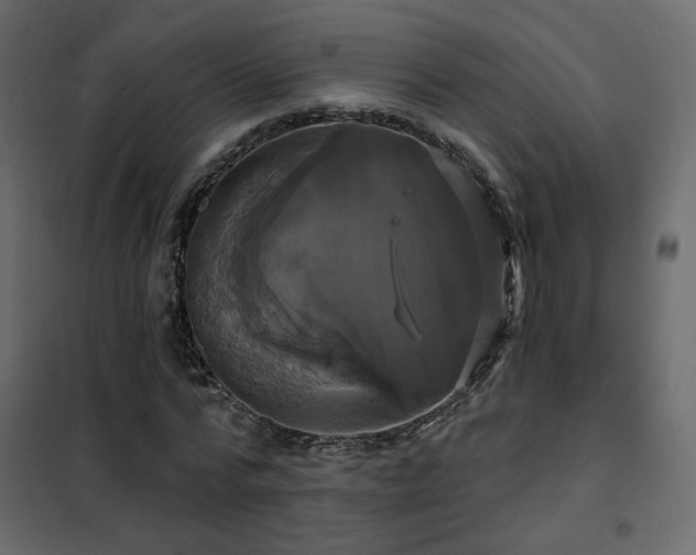 X0000102490776200808081328