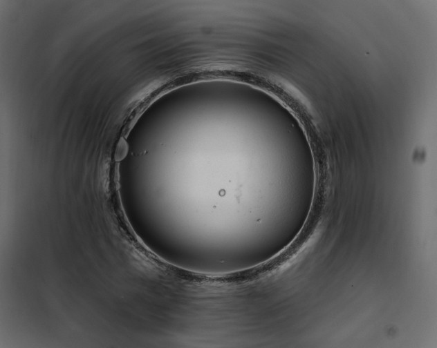 X0000102490777200808081327