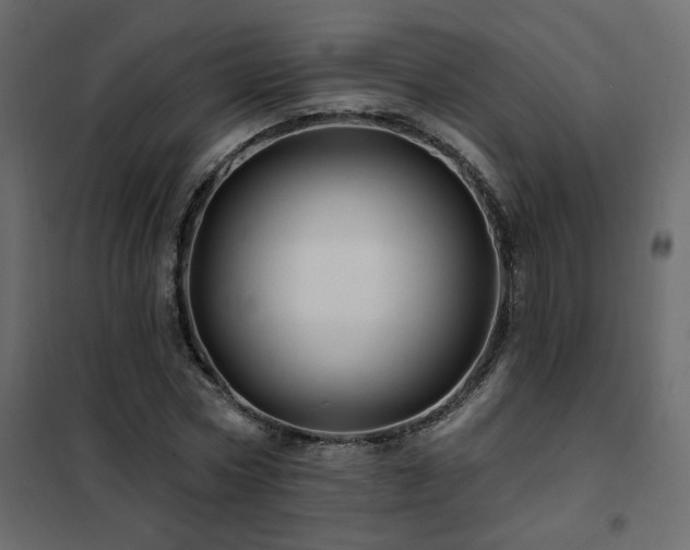 X0000102490778200808081327