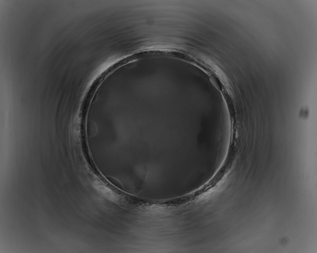 X0000102490779200808081327