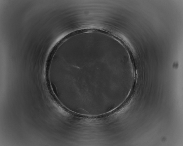 X0000102490780200808081327