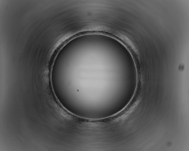 X0000102490781200808081327