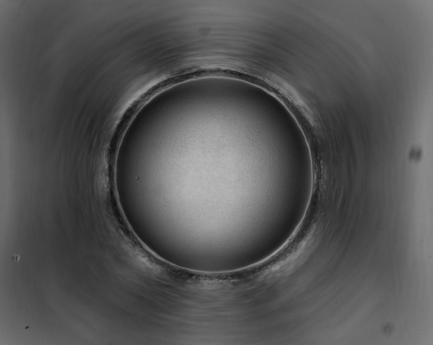 X0000102490782200808081327