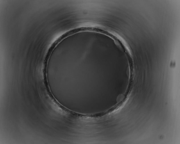 X0000102490783200808081327