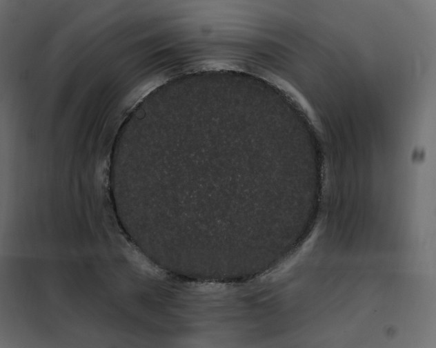 X0000102490785200808081327