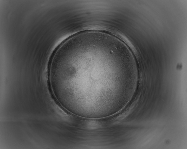 X0000102490787200808081327