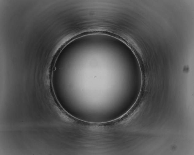 X0000102490789200808081327