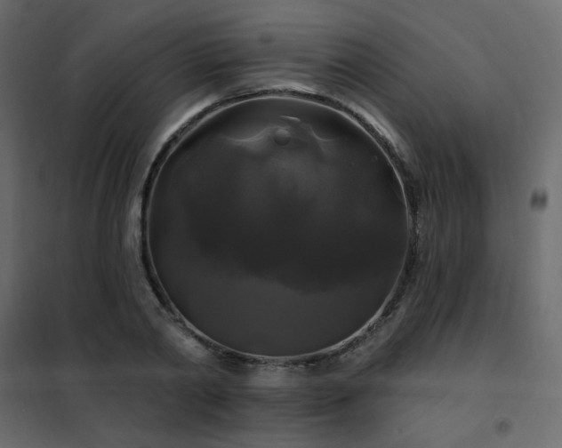X0000102490790200808081327