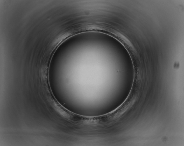 X0000102490793200808081327