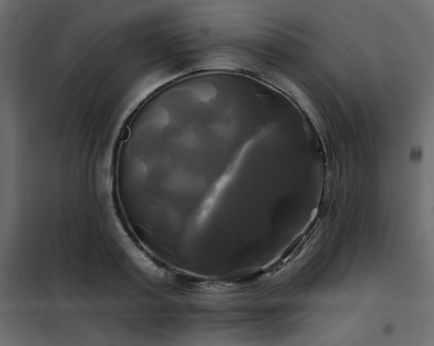 X0000102490795200808081327