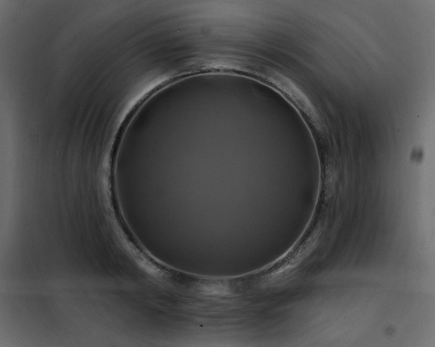 X0000102490798200808081327