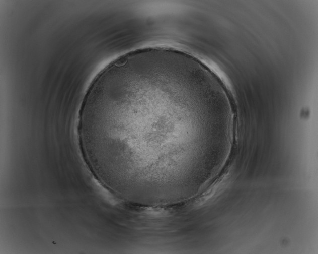 X0000102490799200808081327