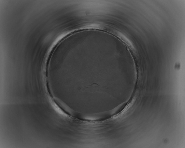X0000102490800200808081327
