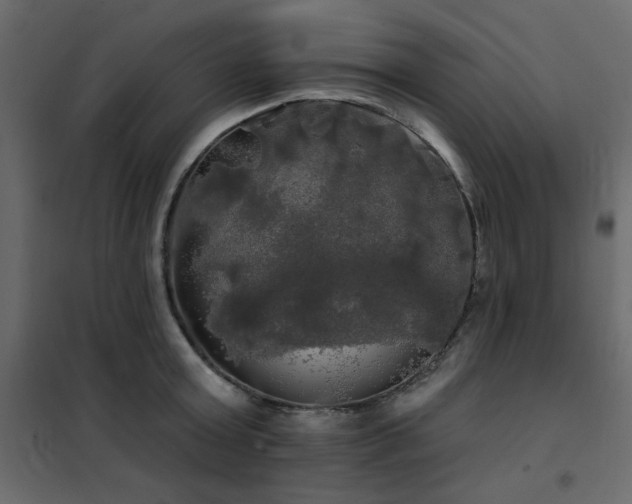 X0000102490803200808081327