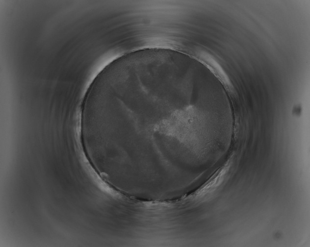 X0000102490804200808081327
