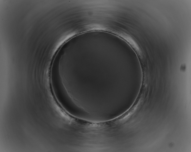 X0000102490806200808081327