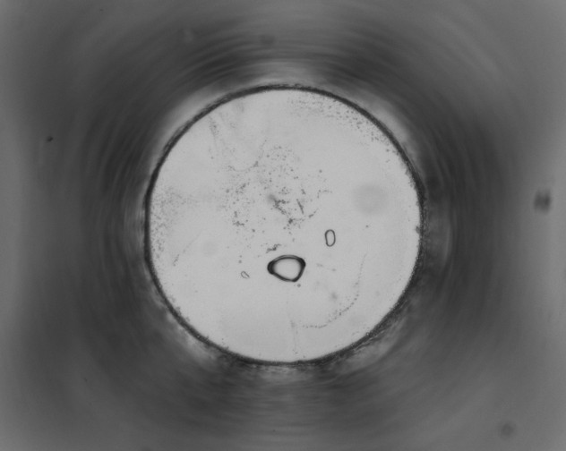 X0000102490807200808081327