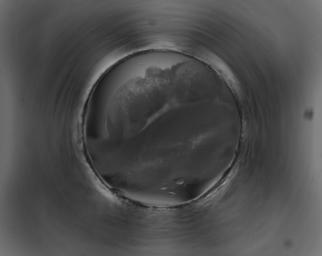 X0000102490808200808081327