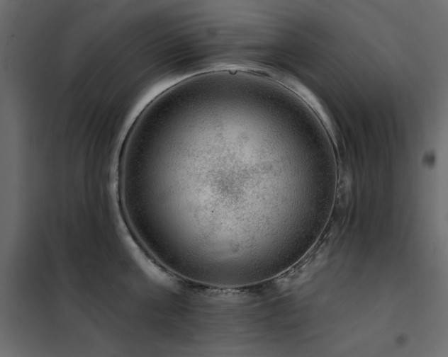 X0000102490811200808081327