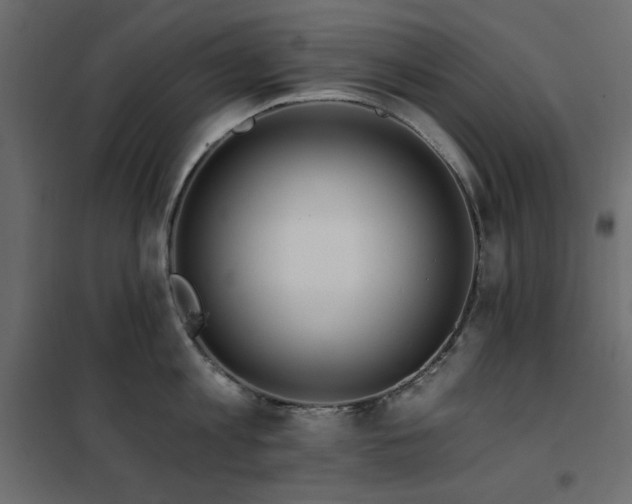 X0000102490813200808081327