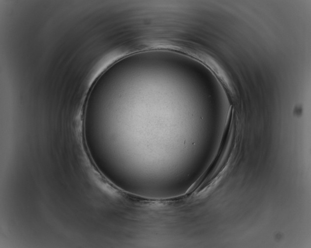 X0000102490814200808081327