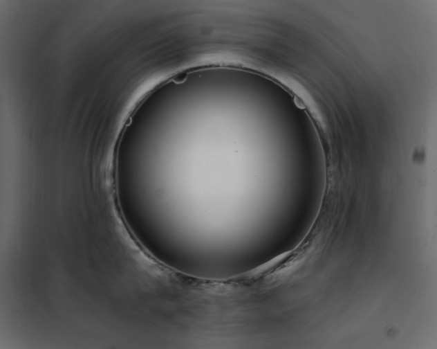 X0000102490815200808081327