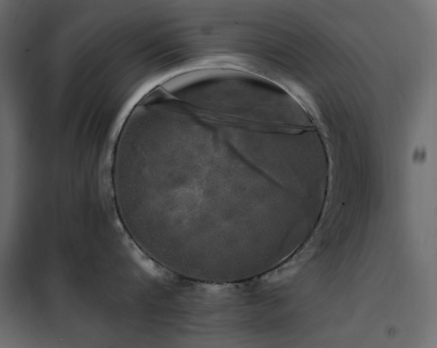 X0000102490816200808081327