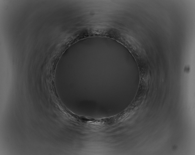 X0000102490817200808081326