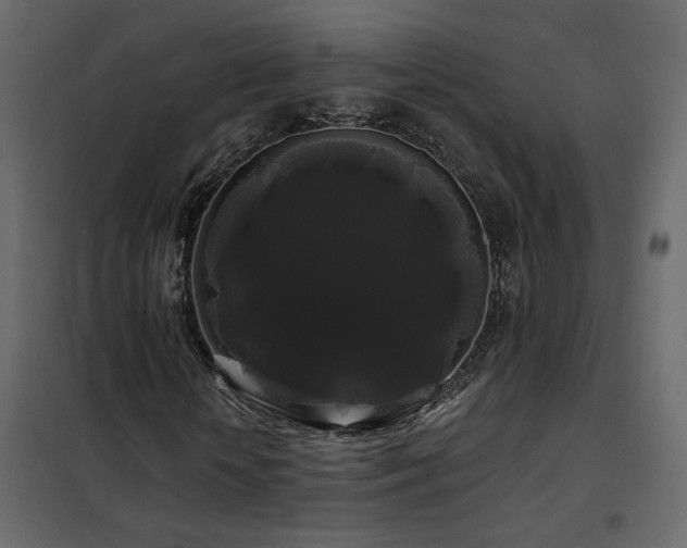 X0000102490818200808081326