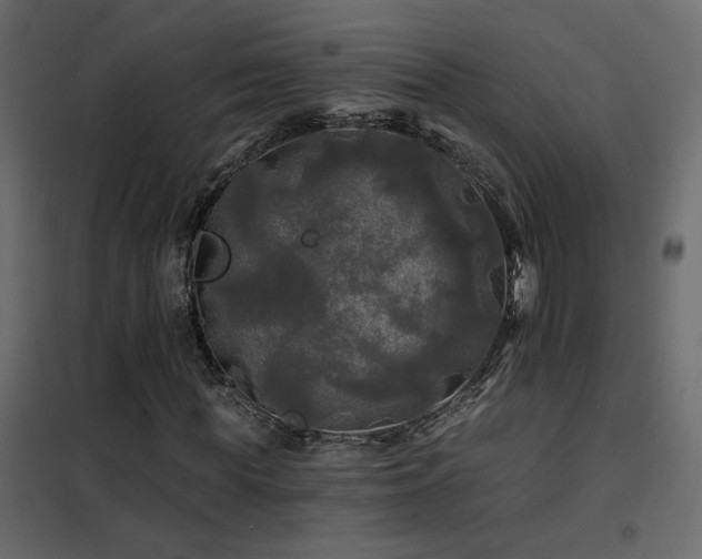 X0000102490819200808081326