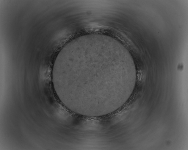 X0000102490820200808081326