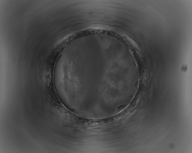 X0000102490821200808081326