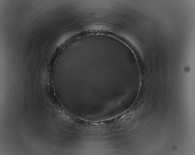 X0000102490823200808081326
