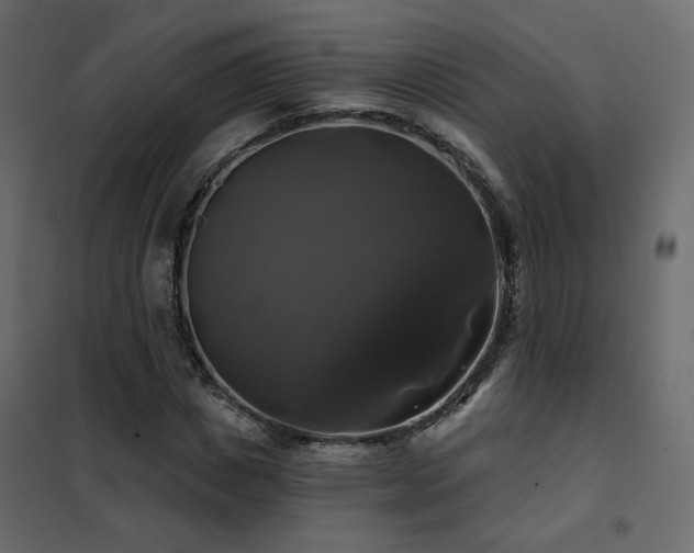 X0000102490825200808081326