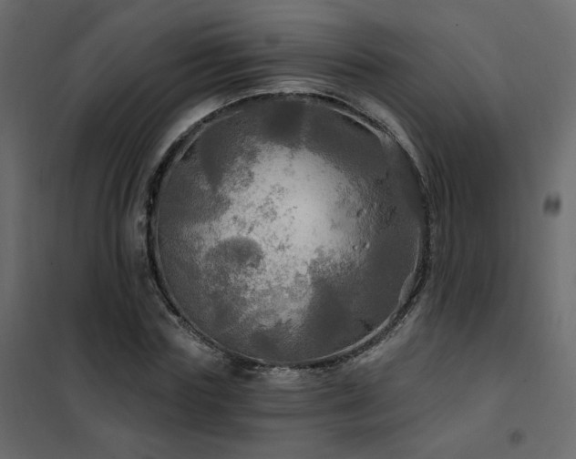 X0000102490827200808081326