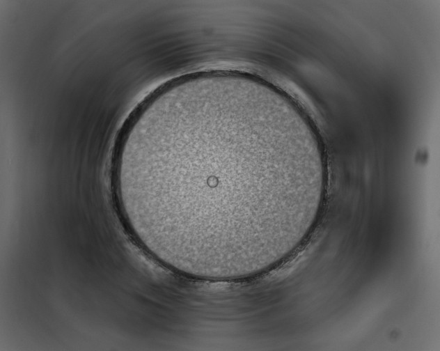 X0000102490828200808081326