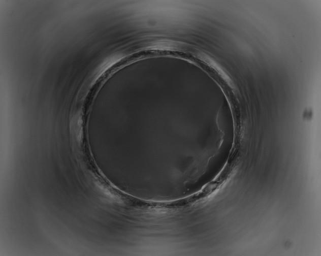 X0000102490829200808081326