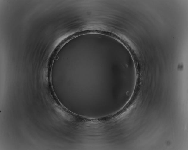 X0000102490830200808081326