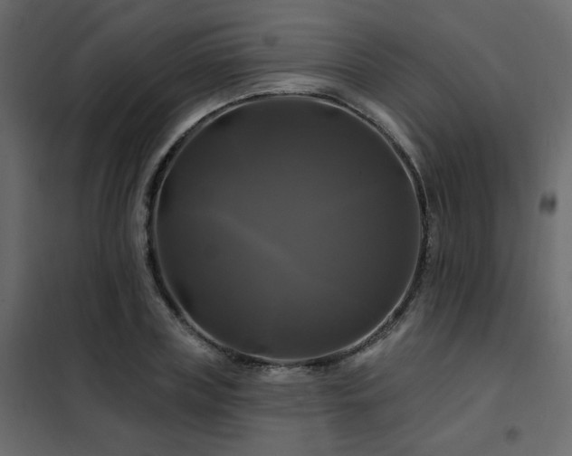 X0000102490835200808081327