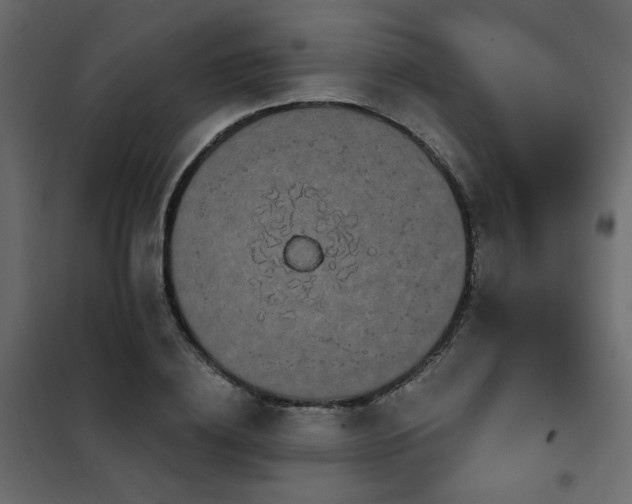 X0000102490836200808081327