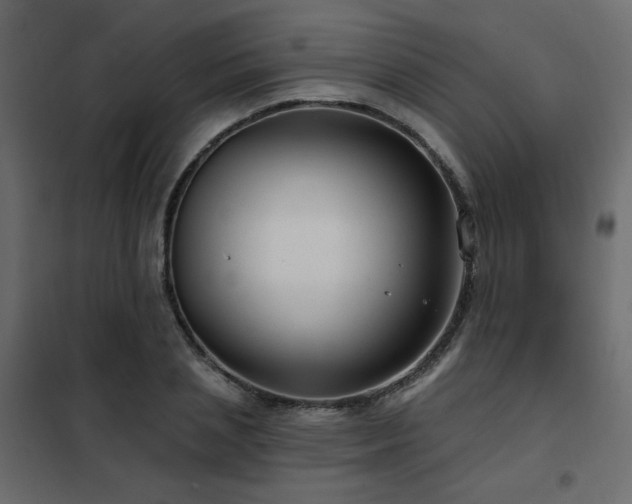 X0000102490837200808081327