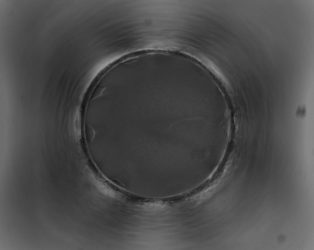 X0000102490838200808081327