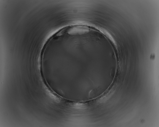 X0000102490839200808081327