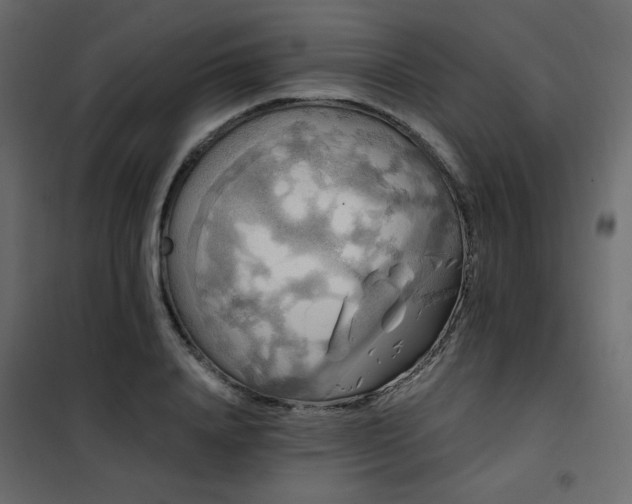 X0000102490840200808081327