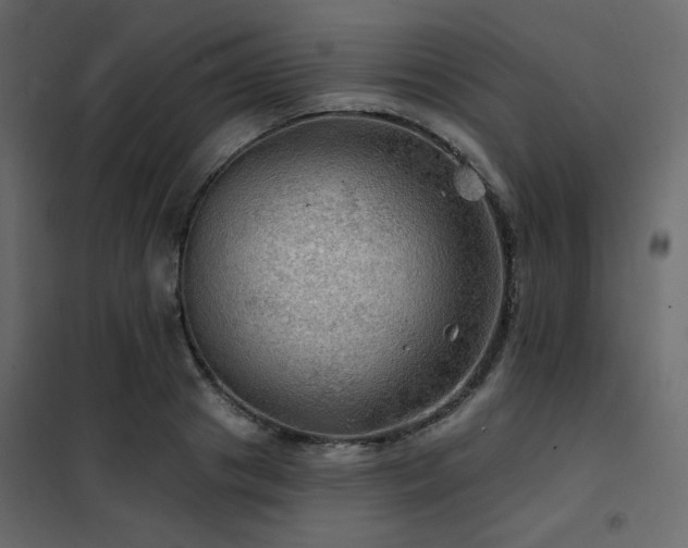 X0000102490841200808081327