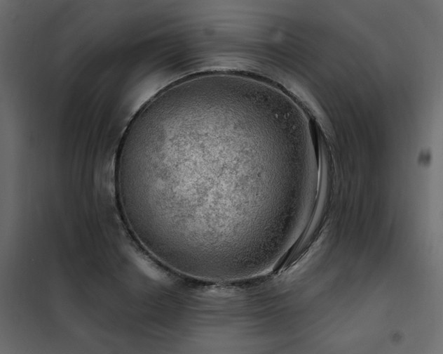 X0000102490842200808081327
