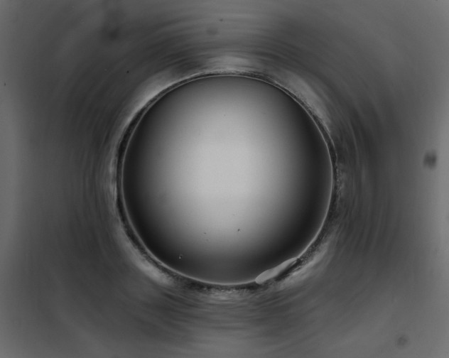 X0000102490843200808081327