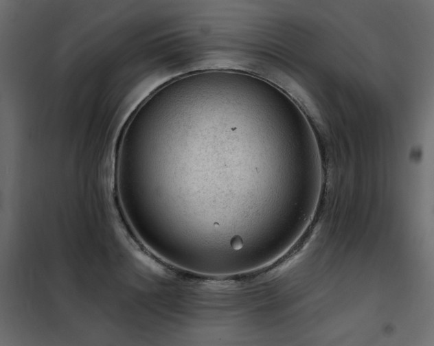 X0000102490844200808081327