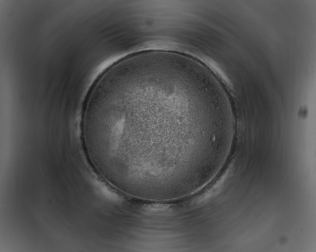 X0000102490846200808081327